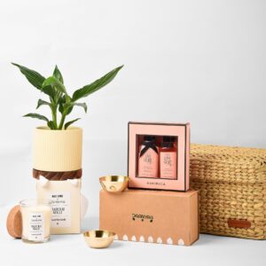 Diwali_Plant & Pamper