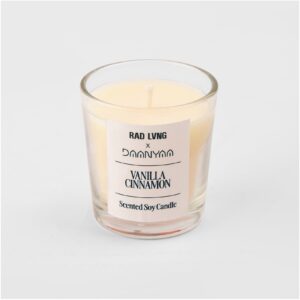Vanilla Cinnamon Candle (65gm)